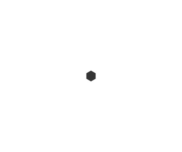 Hex Shaft - Image 6